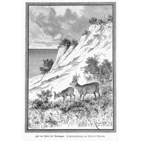 "Schmugglerbilder von der preußisch-russischen Grenze. Mit Orginalzeichnungen von Robert Aßmus. [1] Aus der Düne bei Polangen. O