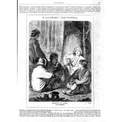 Hucuły w lesie / "HUCUŁY W LESIE, rysował Młodnicki. (70)."