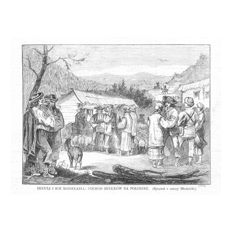Huculi i ich mieszkania: pochód Hucułów na połoniny (Rysował z natury Młodnicki) (2333) / "HUCULI I ICH MIESZKANIA: POCHÓD HUCUŁ