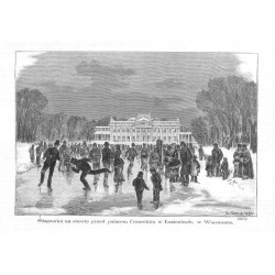 "Slizgawka na stawie przed pałacem Cesarskim w Łazienkach, w Warszawie. (3217)"