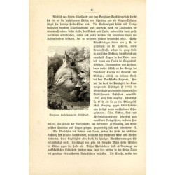 "Bunzlauer Kaffeekanne bei Klitschdorf."