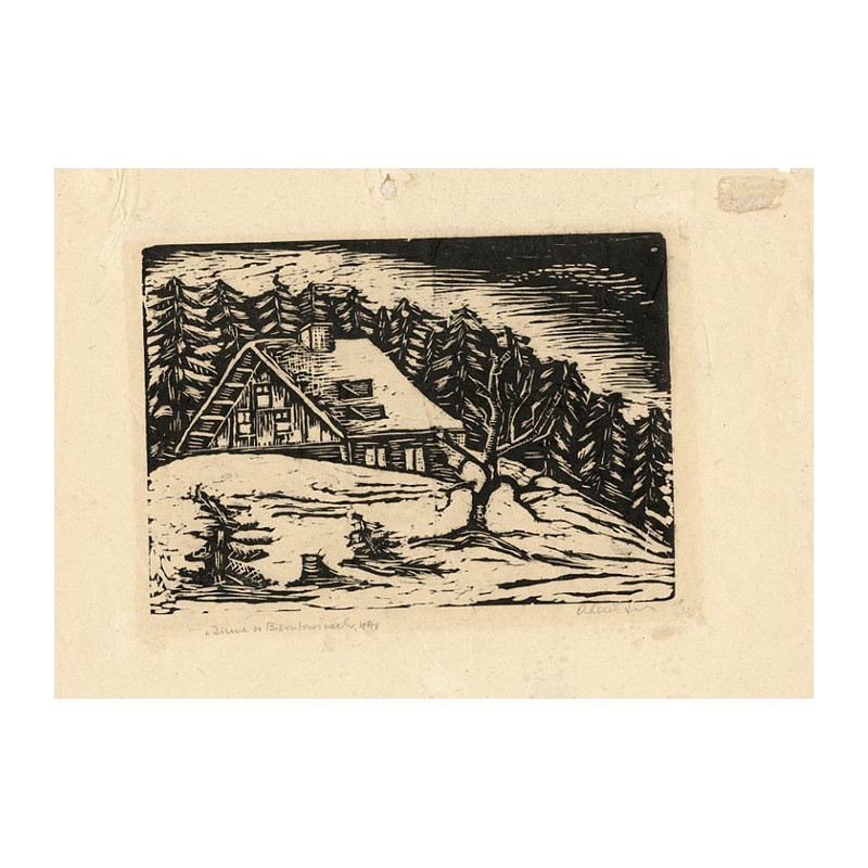 "Zima w Bierutowicach, 49r"