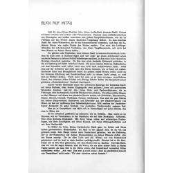 [47] Blick auf Mitau / [47] "BLICK AUF MITAU"