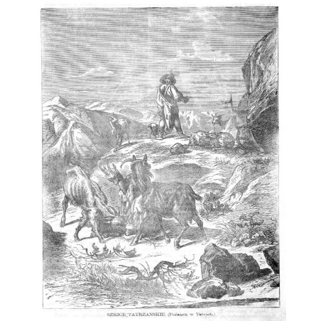 Szkice tatrzańskie. Poranek w Tatrach / "SZKICE TATRZAŃSKIE. (Poranek w Tatrach.)"