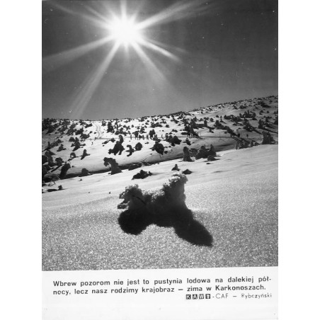 "[...] nasz rodzimy krajobraz - zima w Karkonoszach. KAW-CAF - Rybczyński"