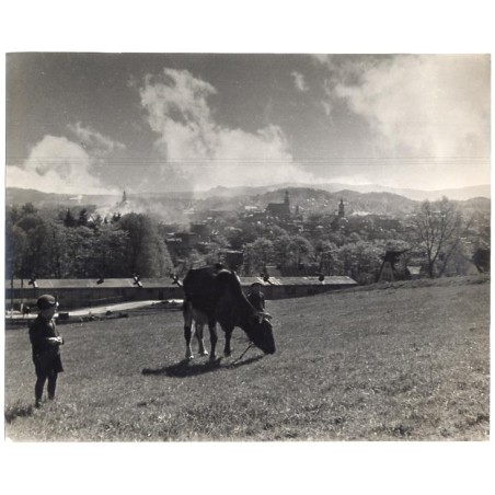 Panorama Jeleniej Góry