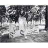 "Leszno Park i pomnik J. Johnstona fot. M. Trzeciakowski M. Bańkowska 60-460 76084 barwne"
