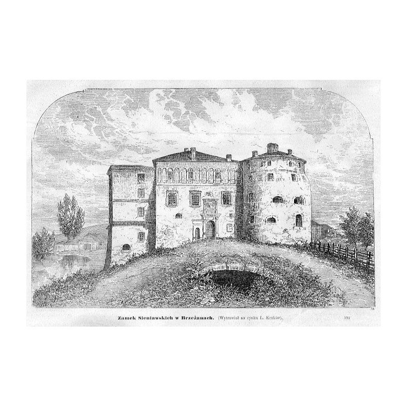 "Zamek Sieniawskich w Brzeżanach. (Wytrawiał na cynku L. Kraków), 192"