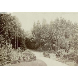 "R 493 Strehlen/Schl. Aufgang zum Marienberg [...]" [park miejski]