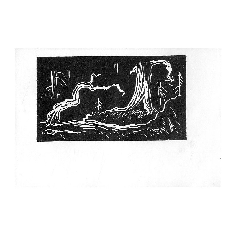 "30. Wnętrze puszczy"