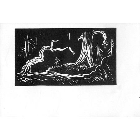 "30. Wnętrze puszczy"