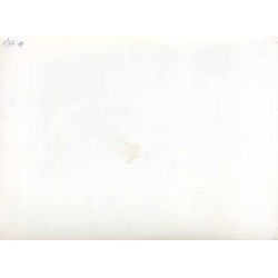 "Szczęśliwego Nowego Roku i szampańskiej zabawy sylwestrowej. KAW-CAF - Zbraniecki"