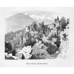 "Alte Burg Fürstenstein."
