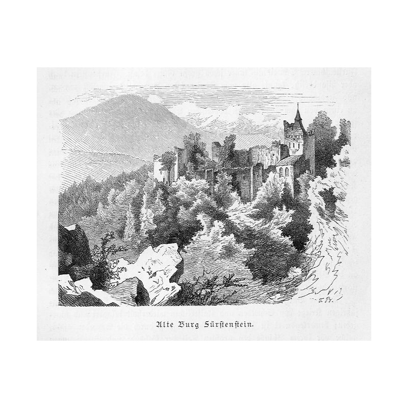 "Alte Burg Fürstenstein."