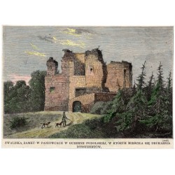 Zwaliska zamku w Paniowcach w Gubernii Podolskiej, w którym mieściła się drukarnia dysydentów / "ZWALISKA ZAMKU W PANIOWCACH W G