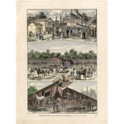 "Wystawa inwentarza na polu ujazdowskiém pod Warszawą. Rysował C. Jankowski. (139)"