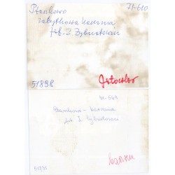 [1] "Ptaszkowo zabytkowa karczma fot. Z. Żyburtowicz [...]" [2] "Ptaszkowo - karczma fot. Z. Żyburtowicz [...]"