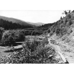 "Dolina Sałatruka w Gorganach Wsch. p. Nadwórna"