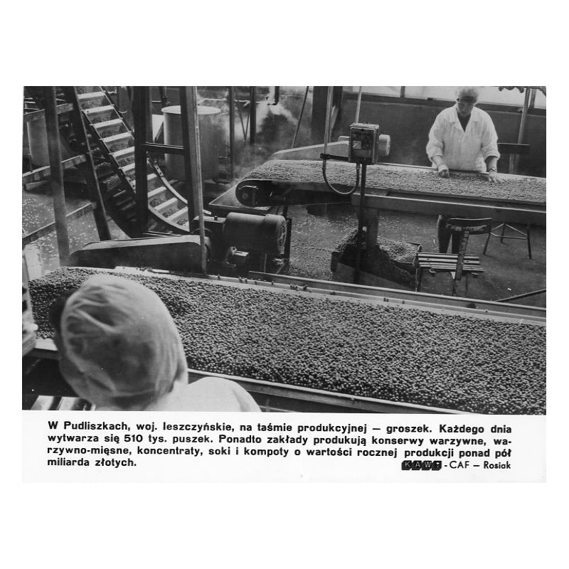 "W Pudliszkach, woj. leszczyńskie, na taśmie produkcyjnej - groszek. [...]. KAW-CAF - Rosiak"
