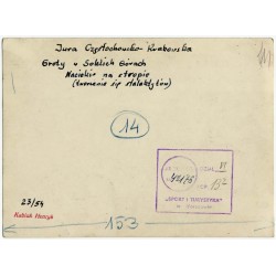 "Jura Częstochowsko-Krakowska. Groty w Sokolich Górach. Nacieki na stropie (tworzenie się stalaktytów) [...]"