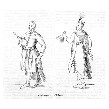 "Pedisequus Polonus."
