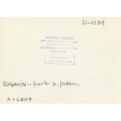 "ROGALIN - park k. pałacu. 31-1239 A-6807"