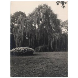 Park Stryjski we Lwowie