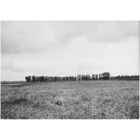 "Krajobraz Wielkopolski"