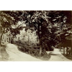 "R 476 Strehlen" / Strzelin. Park miejski