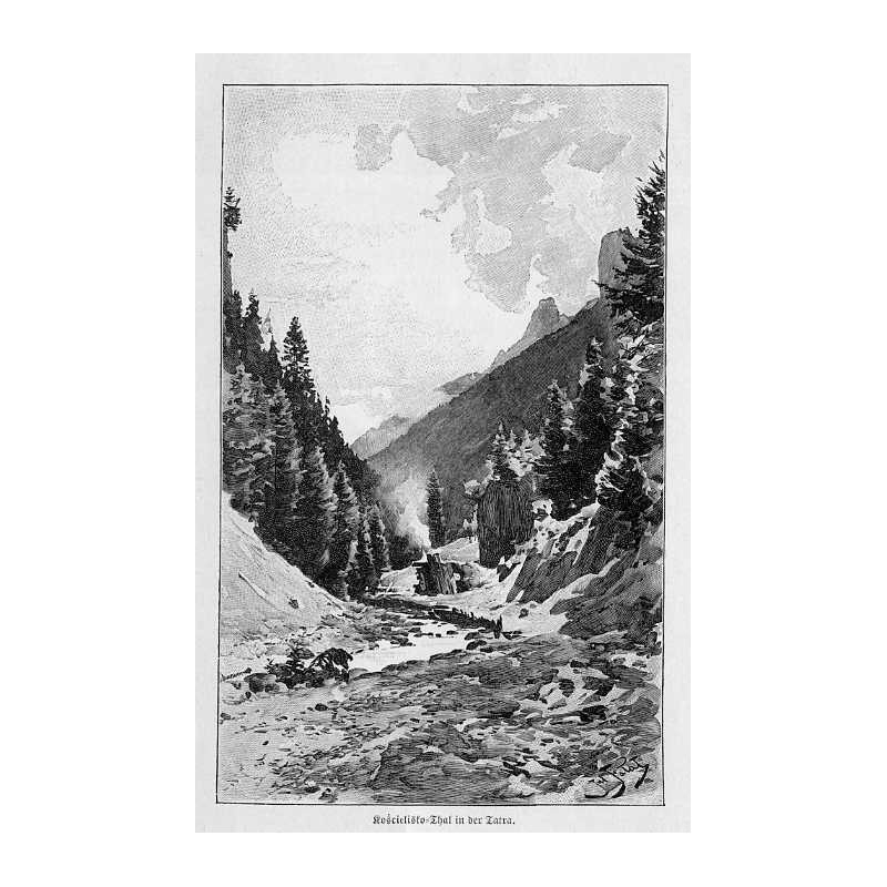 Dolina Kościeliska / "Kościelisko - Thal in der Tatra."