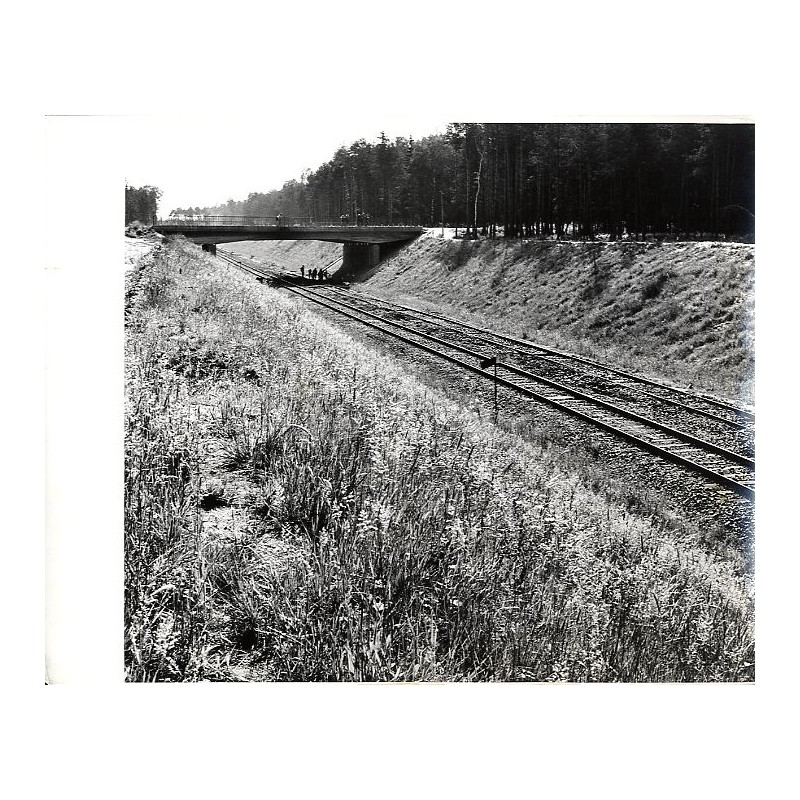 Wiadukt drogowy w km 13,4 niedaleko posterunku Rudno na Magistrali Zachodniej PMP-PW