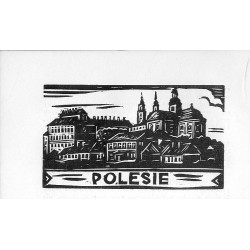 "19. Ogólny widok Pińska" / "POLESIE"