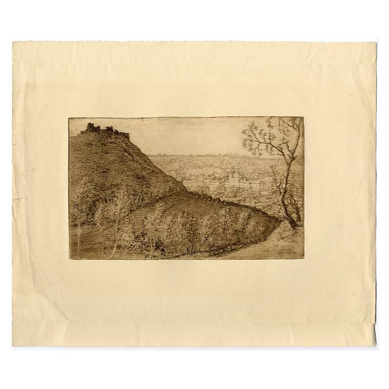 "Ogólny widok Krzemieńca"