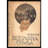 Przerwana chwila