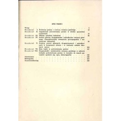 Sztuka portretowania postaci w romansie greckim