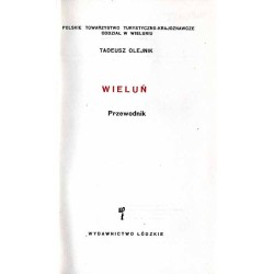 Wieluń. Przewodnik