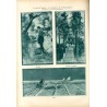 Tęcza. Ilustrowane pismo tygodniowe. R.2 (1928). Z. 15 (14 kwietnia 1928) / Stefan Norblin / Grupa Czartak / Bodzentyn / Julian