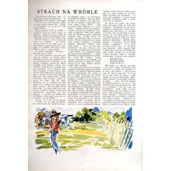 Tęcza. Ilustrowane pismo tygodniowe. R.2 (1928). Z. 15 (14 kwietnia 1928) / Stefan Norblin / Grupa Czartak / Bodzentyn / Julian