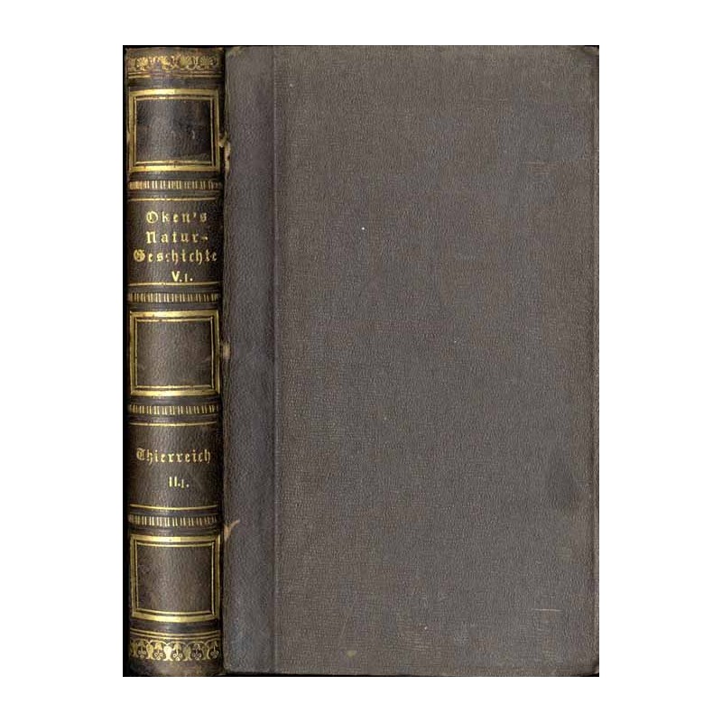 Thierreich. Bd. 2, Abt. 1 / Allgemeine Naturgeschichte für alle Stände Bd. 5, Abt. 1