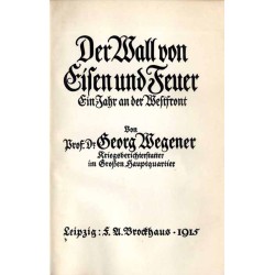 Der Wall von Eisen und Feuer. Ein Jahr an der Westfront