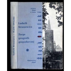 Śląsk Opolski. Zarys geografii gospodarczej