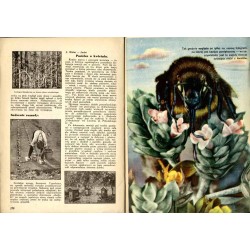 Plon. Ilustrowany miesięcznik rolniczo-ogrodniczy. R.4 (1937). Nr 4 (kwiecień 1937)