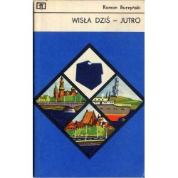 Wisła dziś - jutro