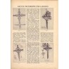 Tęcza. Ilustrowane pismo tygodniowe. R.3 (1929). Z. 39 (28 września 1929) / Stanisław Raczyński / Bułgaria przemysł różany / Lub