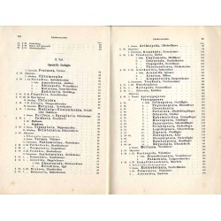 Grundriss der Zoologie für Forstleute. Ergänzungsband zu Lorey’s Handbuch der Forstwissenschaft