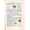 Grundriss der Zoologie für Forstleute. Ergänzungsband zu Lorey’s Handbuch der Forstwissenschaft