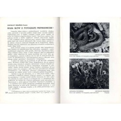 Przegląd Fotograficzny. Miesięcznik ilustrowany. Organ Fotoklubu Wileńskiego i Lwowskiego Towarzystwa Fotograficznego. R. 3 (193