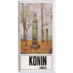 Konin i okolice