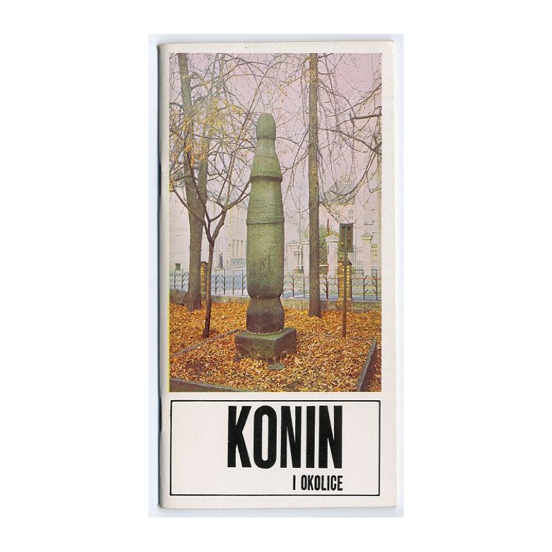 Konin i okolice