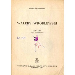 Walery Wróblewski (1836-1908). Szkic biograficzny